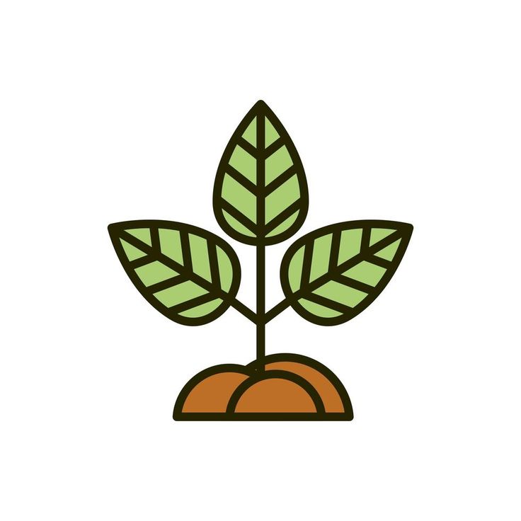 Quinta da Malveira Bio